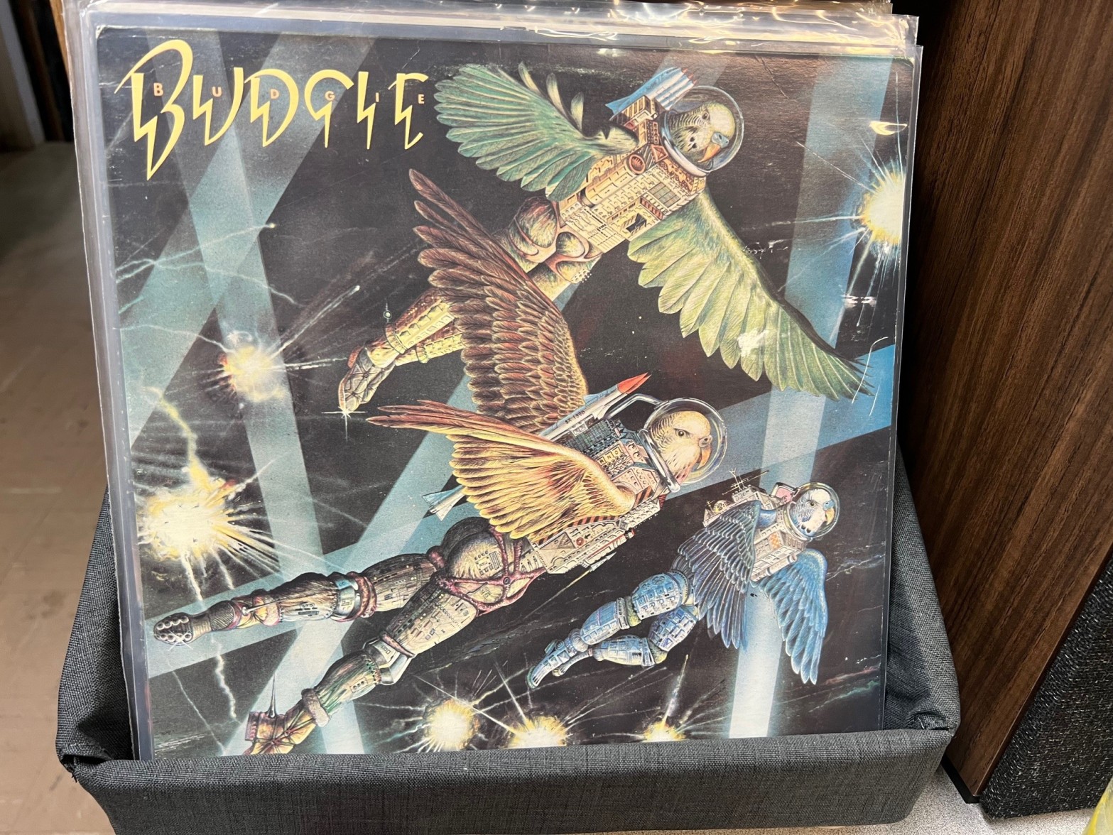Album cover for Budgie